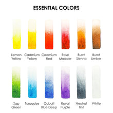 Load image into Gallery viewer, Paints - Grabie - Watercolor Pocket Set of 12 - Essential Colors