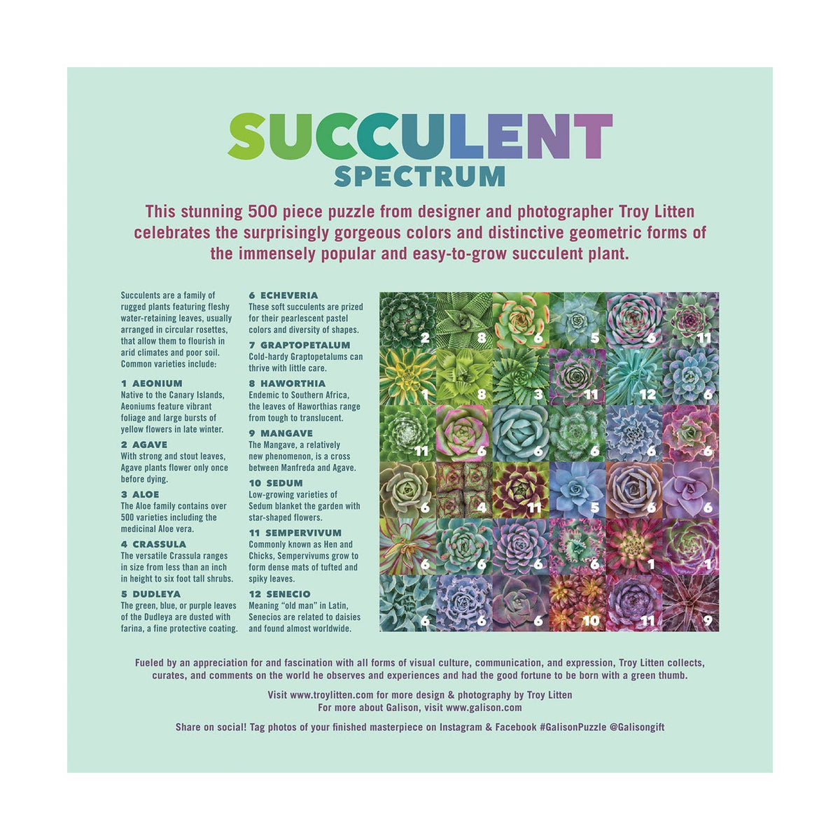 Chronicle Books - Succulent Spectrum 500 Piece Puzzle