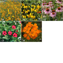 Load image into Gallery viewer, Potting Shed Creations, Ltd. - Garden Sprinkles | Wildflowers | Best Seller