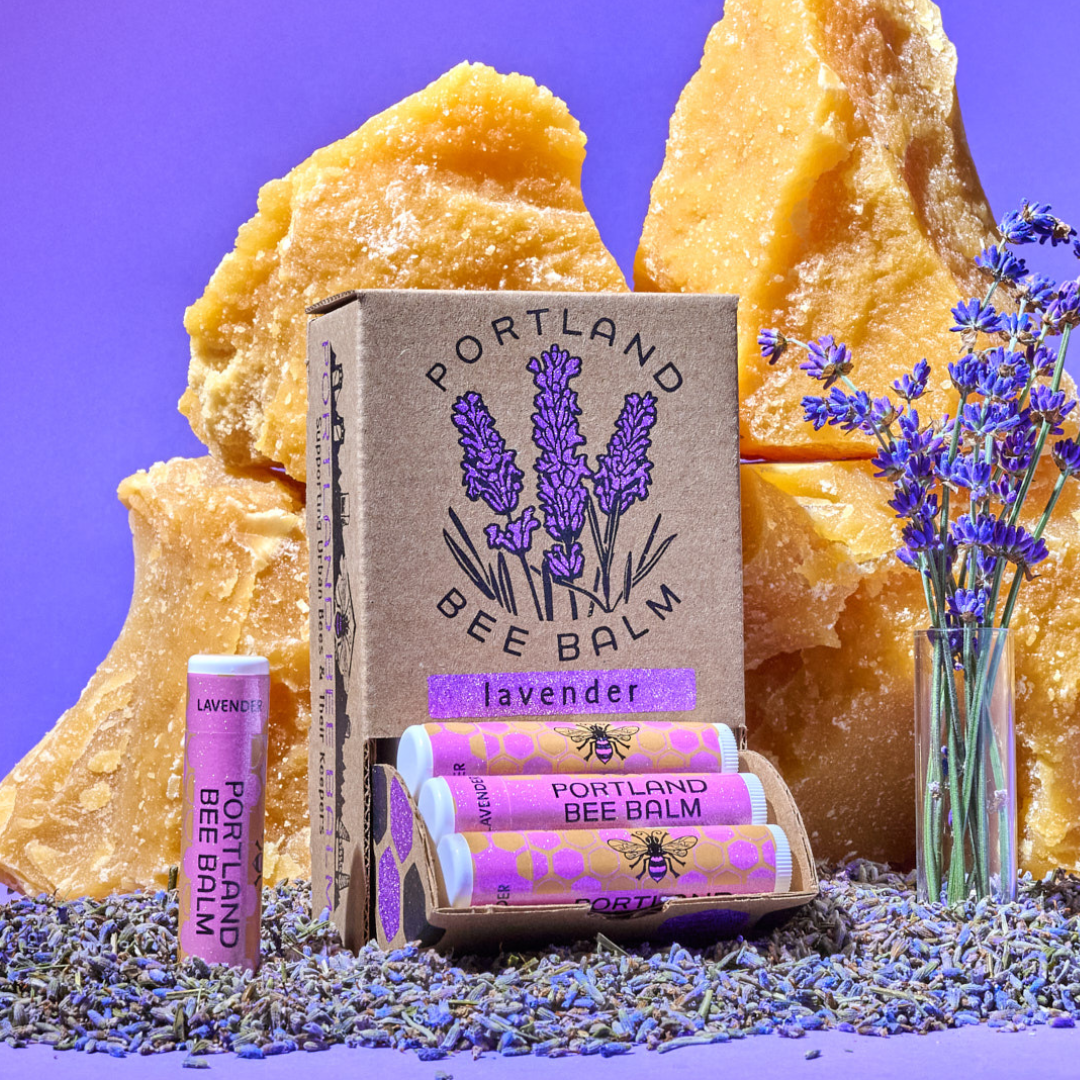 Portland Bee Balm - Lavender Beeswax Lip Balm Display – Calming 24-Count