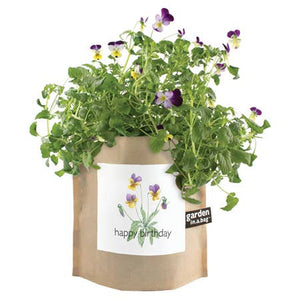 Potting Shed Creations, Ltd. - Garden in a Bag | Happy Birthday | Best Seller