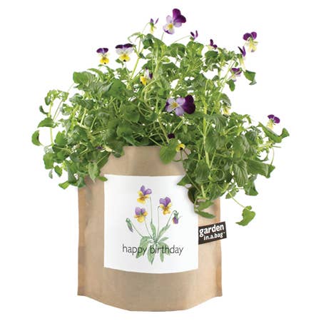 Potting Shed Creations, Ltd. - Garden in a Bag | Happy Birthday | Best Seller