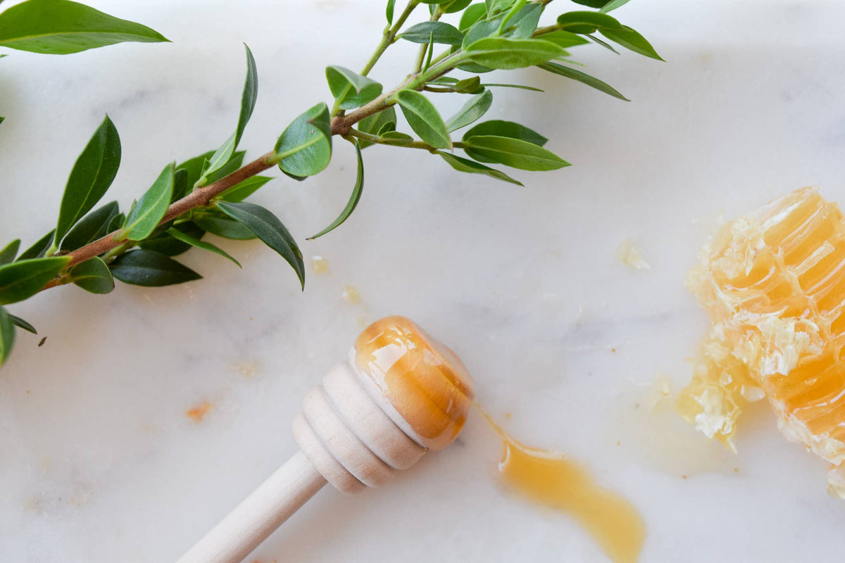 The Bee Box - Wooden Honey Dipper