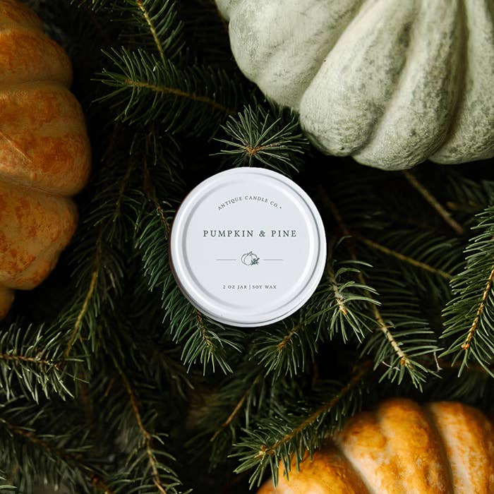 Antique Candle Co.® - Pumpkin & Pine - Soy Candle