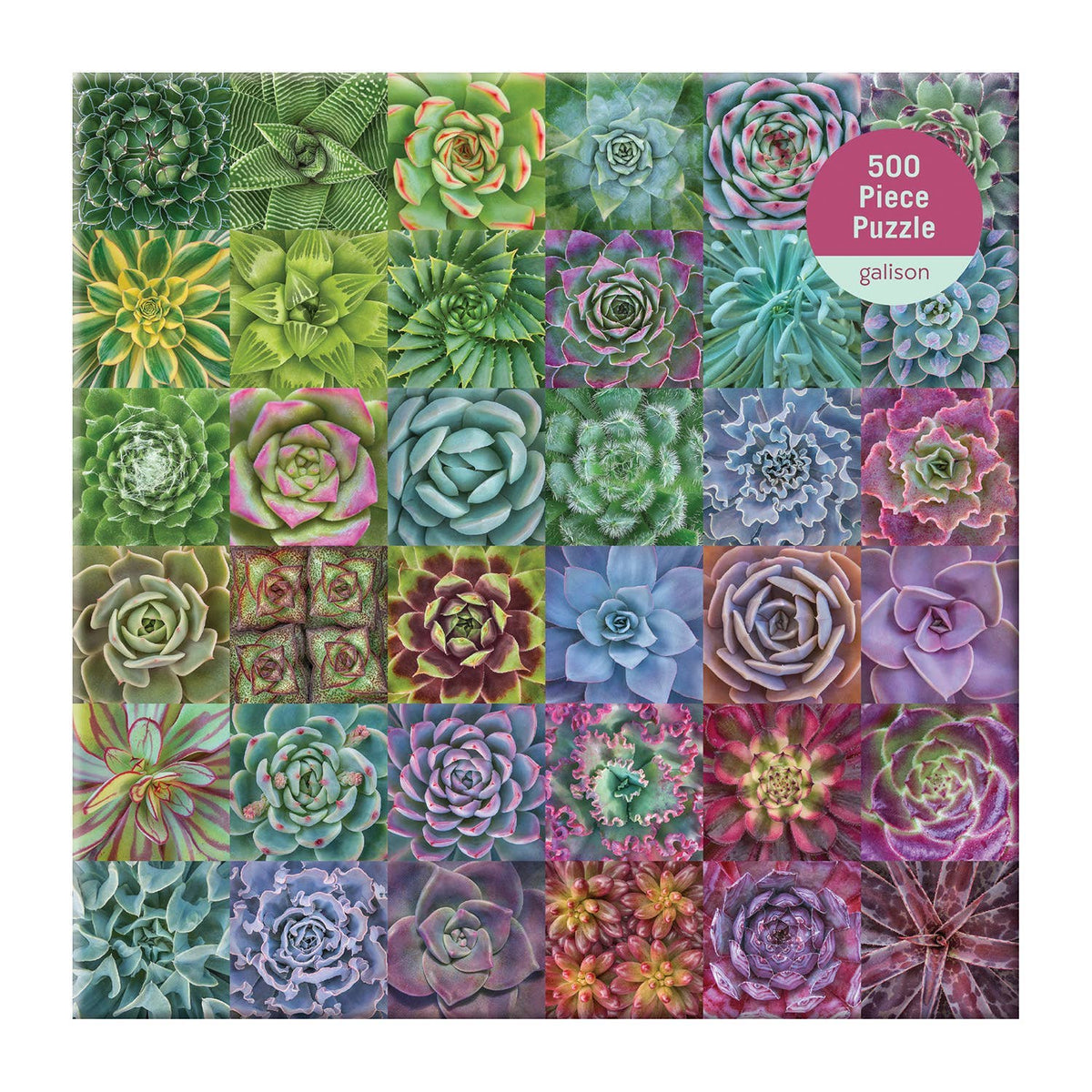 Chronicle Books - Succulent Spectrum 500 Piece Puzzle
