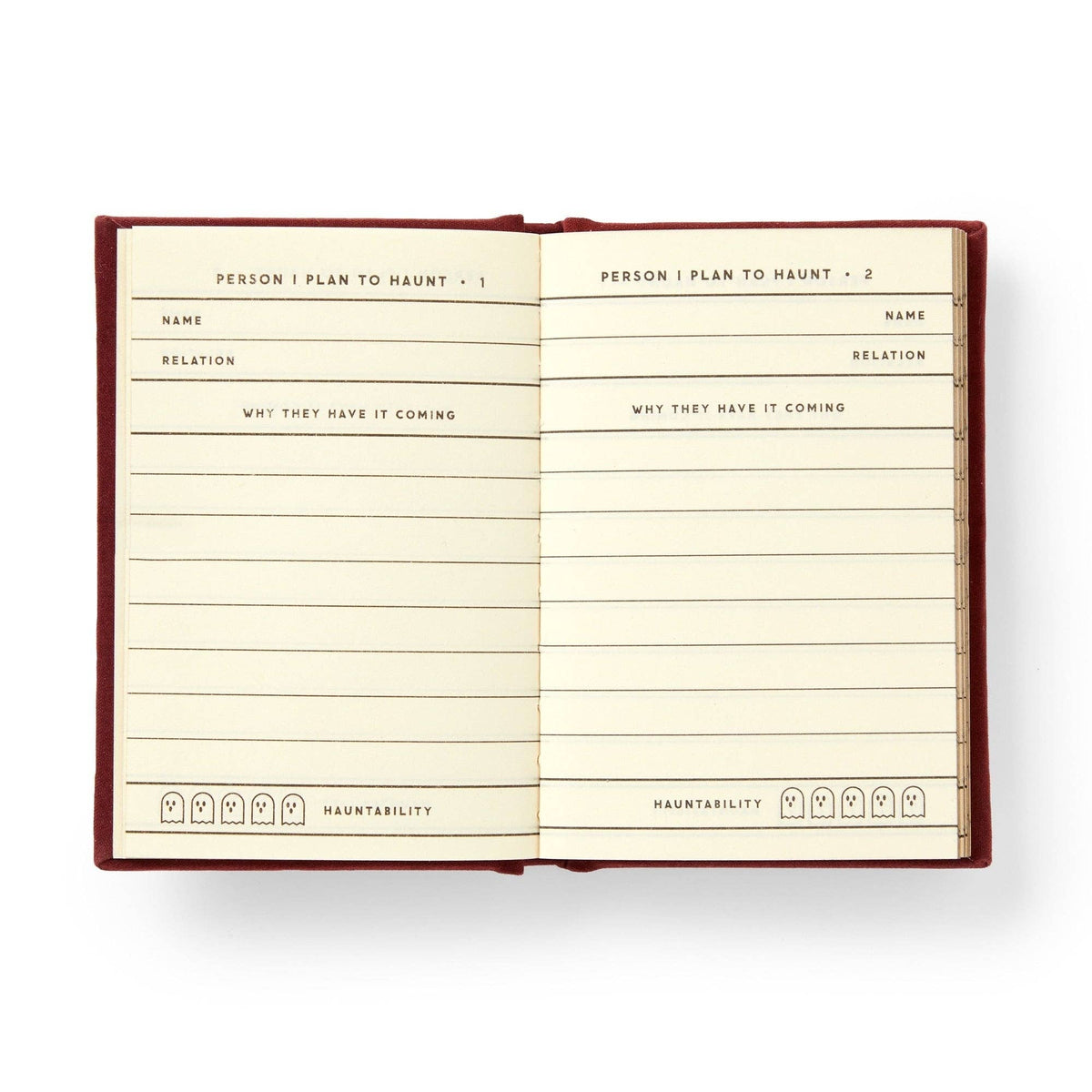 Chronicle Books - Brass Monkey People I Plan To Haunt Tiny Diary