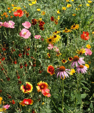 Load image into Gallery viewer, Potting Shed Creations, Ltd. - Garden Sprinkles | Wildflowers | Best Seller