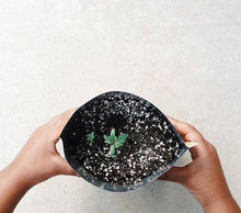 Load image into Gallery viewer, Potting Shed Creations, Ltd. - Kids Garden in a Bag | Sunflower | Learning | Best Seller