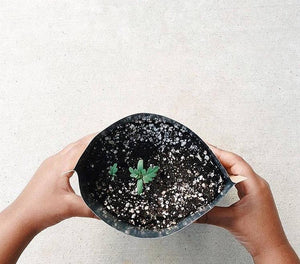 Potting Shed Creations, Ltd. - Kids Garden in a Bag | Sunflower | Learning | Best Seller
