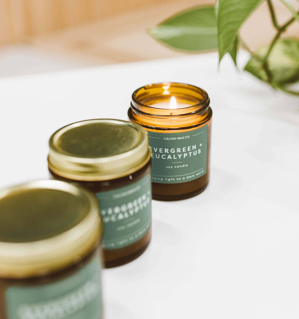Calyan Wax Co. - Soy Candle | Evergreen + Eucalyptus | 3.1oz Mini Amber Jar