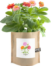 Load image into Gallery viewer, Potting Shed Creations, Ltd. - Garden in a Bag | Mom | Mother&#39;s Day | Best Seller