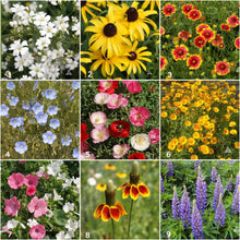 Load image into Gallery viewer, Potting Shed Creations, Ltd. - Garden Sprinkles | Wildflowers | Best Seller