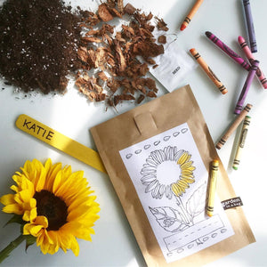 Potting Shed Creations, Ltd. - Kids Garden in a Bag | Sunflower | Learning | Best Seller