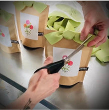 Load image into Gallery viewer, Potting Shed Creations, Ltd. - Garden in a Bag | Mom | Mother&#39;s Day | Best Seller