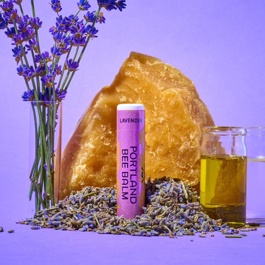Portland Bee Balm - Lavender Beeswax Lip Balm Display – Calming 24-Count