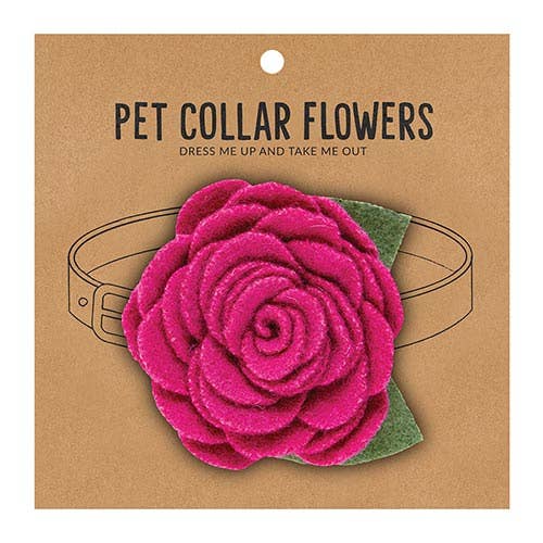 Santa Barbara Design Studio by Creative Brands - Medium Pet Collar Flower - Magenta