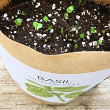 Load image into Gallery viewer, Potting Shed Creations, Ltd. - Garden in a Bag | Basil  | Gift idea for Cooks | Best Seller