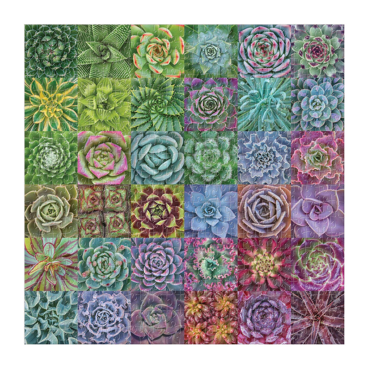 Chronicle Books - Succulent Spectrum 500 Piece Puzzle
