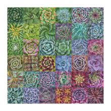 Load image into Gallery viewer, Chronicle Books - Succulent Spectrum 500 Piece Puzzle