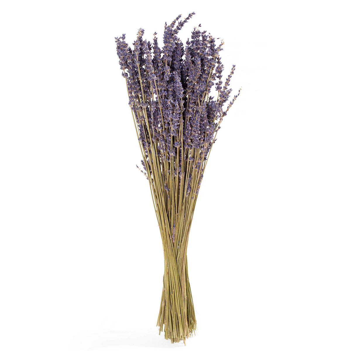 Andaluca - French Lavender Bundle