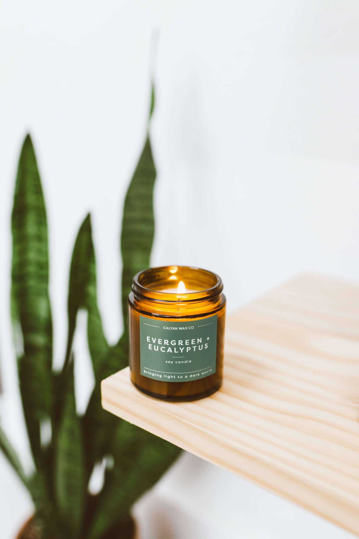 Calyan Wax Co. - Soy Candle | Evergreen + Eucalyptus | 3.1oz Mini Amber Jar