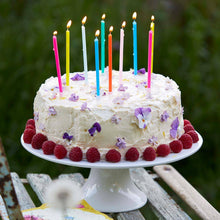 Load image into Gallery viewer, Talking Tables USA - Home, Birthday, Games &amp; Seasonal Decor - Rainbow Birthday Candles - 16 Pack | Cake Candle |